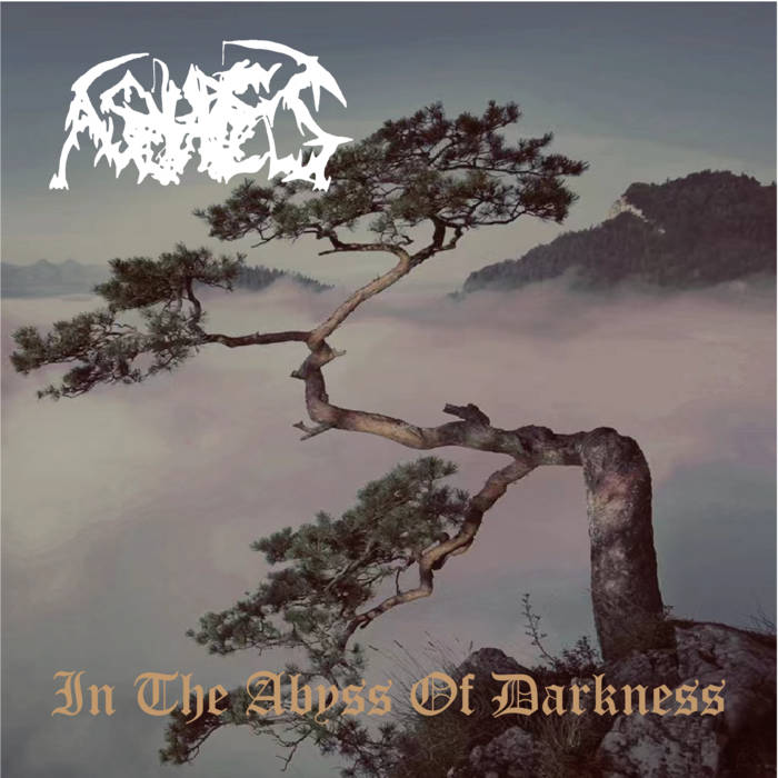 Ashes - In the Abyss of Darkness CD
