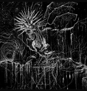 OMEGAVORTEX / PIOUS LEVUS – SPLIT LP