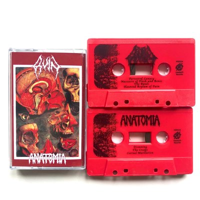 Ruin / Anatomia split cassette